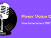 Fiverr Voice Overs